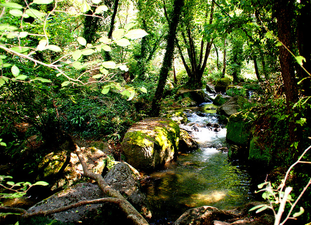 Cascate di Monte Gelato