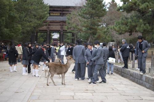 Nara